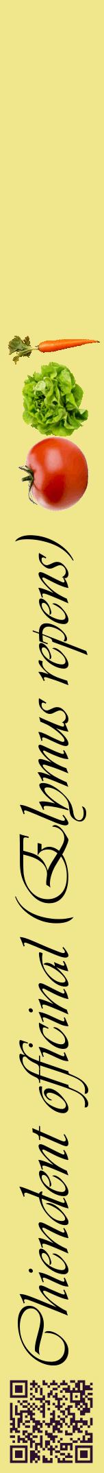Étiquette de : Elymus repens - format a - style noire20viv avec qrcode et comestibilité simplifiée