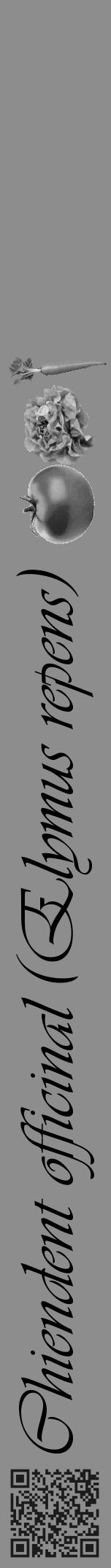 Étiquette de : Elymus repens - format a - style noire2basiqueviv avec qrcode et comestibilité simplifiée - position verticale