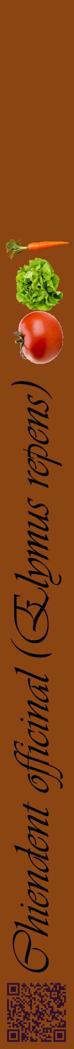 Étiquette de : Elymus repens - format a - style noire30viv avec qrcode et comestibilité simplifiée