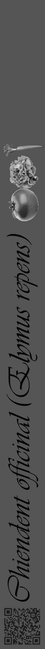 Étiquette de : Elymus repens - format a - style noire30viv avec qrcode et comestibilité simplifiée - position verticale