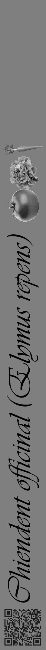 Étiquette de : Elymus repens - format a - style noire31viv avec qrcode et comestibilité simplifiée - position verticale