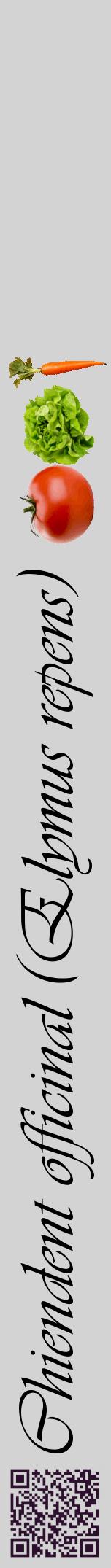 Étiquette de : Elymus repens - format a - style noire56viv avec qrcode et comestibilité simplifiée