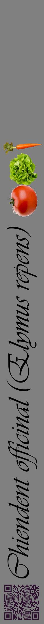 Étiquette de : Elymus repens - format a - style noire57viv avec qrcode et comestibilité simplifiée