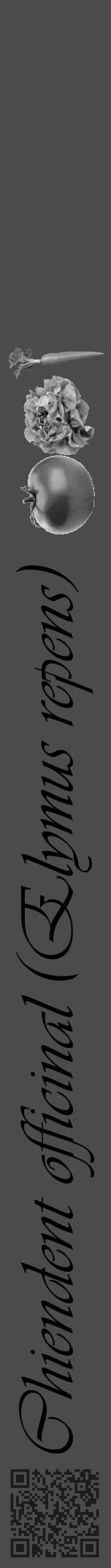 Étiquette de : Elymus repens - format a - style noire9viv avec qrcode et comestibilité simplifiée - position verticale