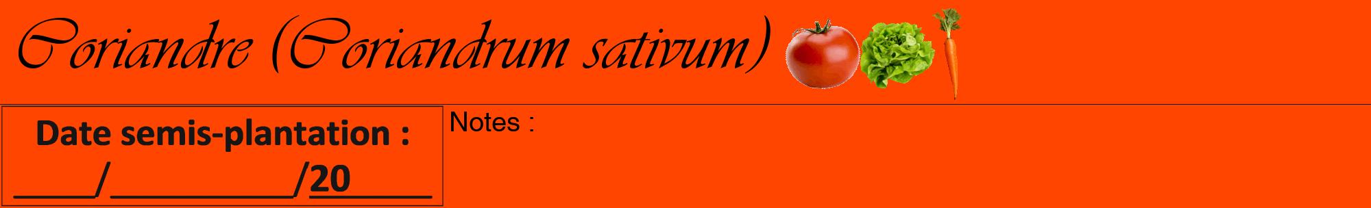 Étiquette de : Coriandrum sativum - format a - style noire26viv avec comestibilité simplifiée