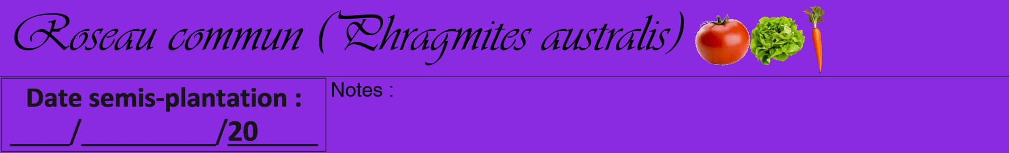 Étiquette de : Phragmites australis - format a - style noire49viv avec comestibilité simplifiée
