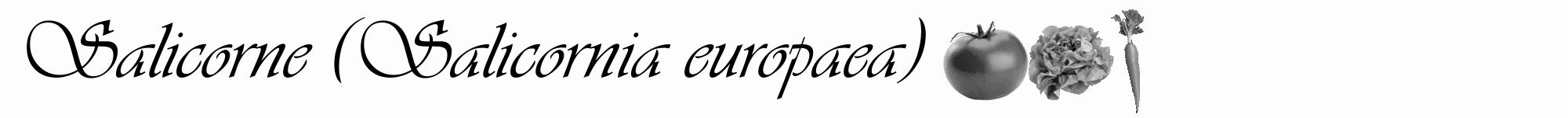 Étiquette de : Salicornia europaea - format a - style noire19viv avec comestibilité simplifiée