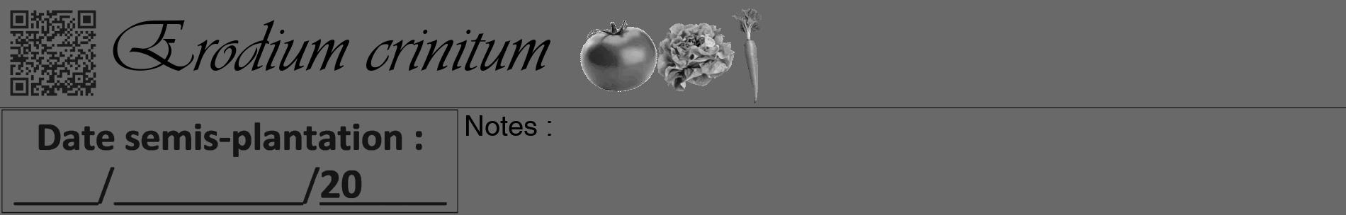 Étiquette de : Erodium crinitum - format a - style noire11basiqueviv avec qrcode et comestibilité simplifiée