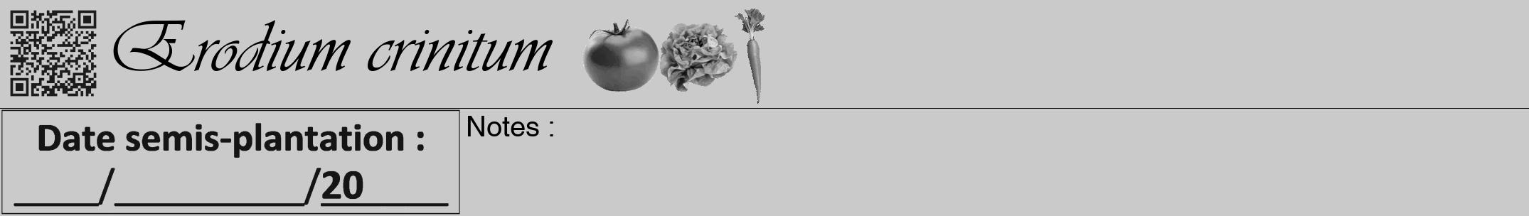 Étiquette de : Erodium crinitum - format a - style noire21viv avec qrcode et comestibilité simplifiée