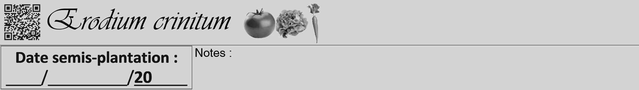 Étiquette de : Erodium crinitum - format a - style noire40viv avec qrcode et comestibilité simplifiée