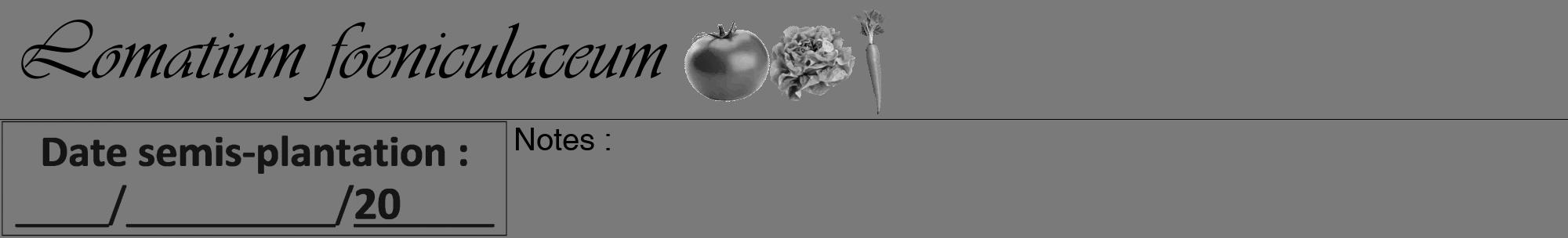 Étiquette de : Lomatium foeniculaceum - format a - style noire3viv avec comestibilité simplifiée