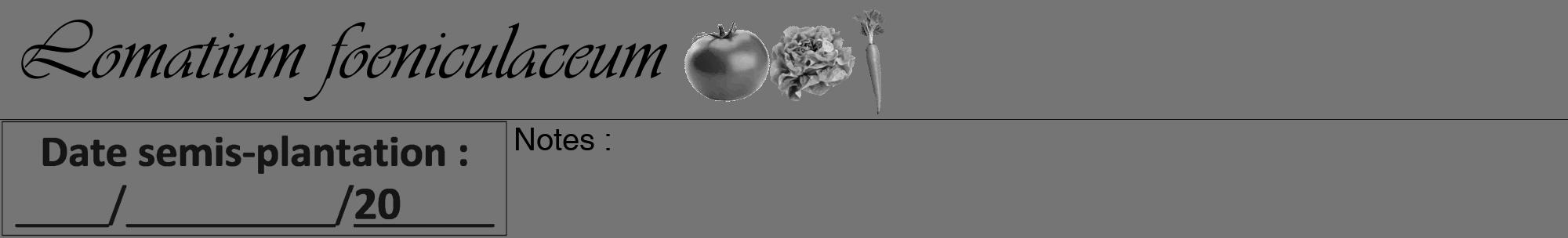Étiquette de : Lomatium foeniculaceum - format a - style noire5viv avec comestibilité simplifiée