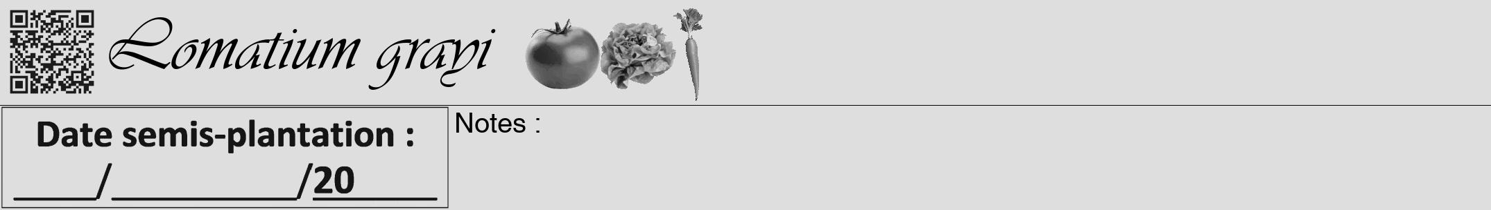 Étiquette de : Lomatium grayi - format a - style noire20viv avec qrcode et comestibilité simplifiée