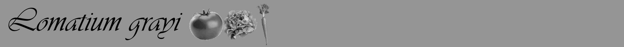Étiquette de : Lomatium grayi - format a - style noire16viv avec comestibilité simplifiée