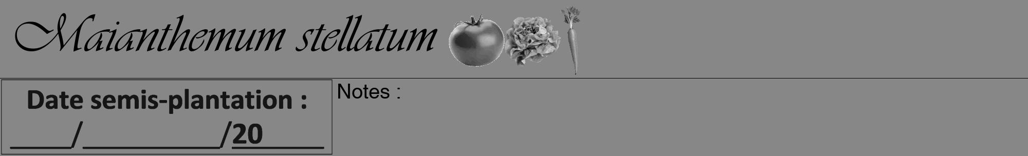 Étiquette de : Maianthemum stellatum - format a - style noire12viv avec comestibilité simplifiée