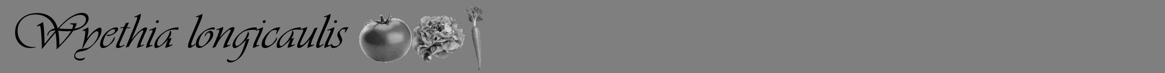 Étiquette de : Wyethia longicaulis - format a - style noire31simpleviv avec comestibilité simplifiée