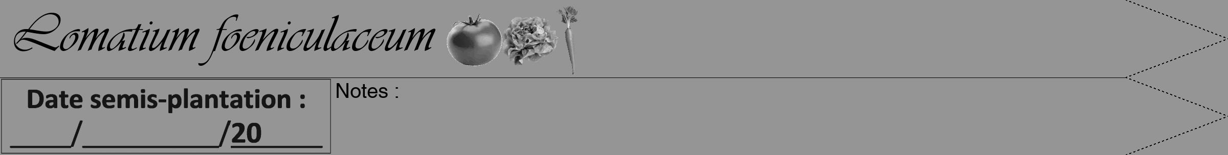 Étiquette de : Lomatium foeniculaceum - format b - style noire16viv avec comestibilité simplifiée