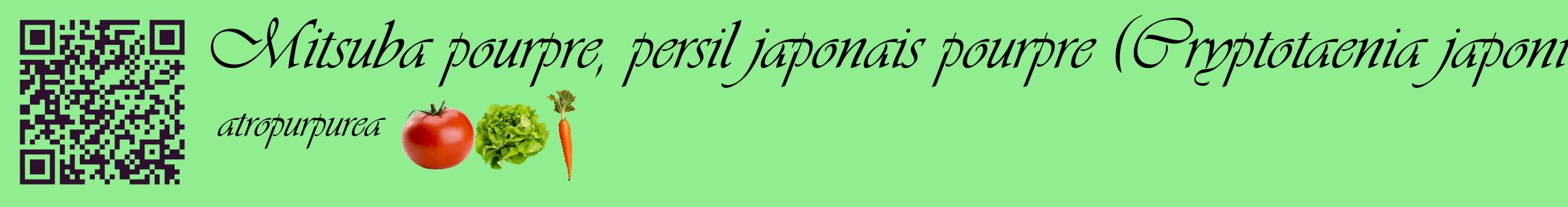 Étiquette de : Cryptotaenia japonica atropurpurea - format c - style noire15basique_basique_basiqueviv avec qrcode et comestibilité simplifiée