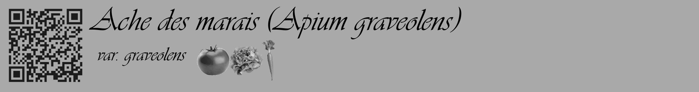 Étiquette de : Apium graveolens var. graveolens - format c - style noire13_basique_basiqueviv avec qrcode et comestibilité simplifiée