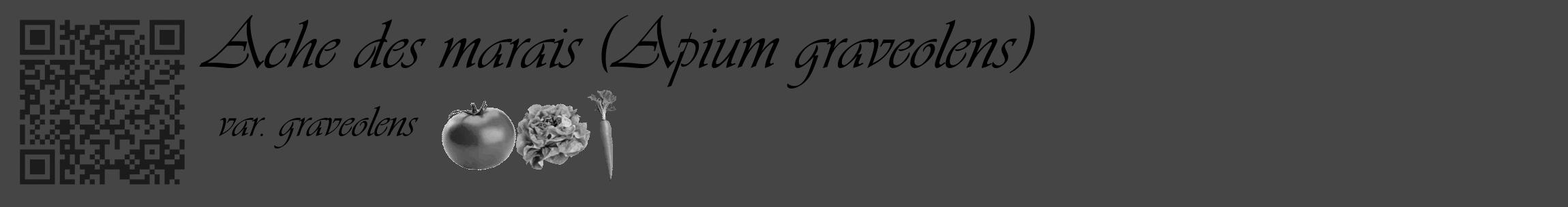 Étiquette de : Apium graveolens var. graveolens - format c - style noire58basique_basique_basiqueviv avec qrcode et comestibilité simplifiée
