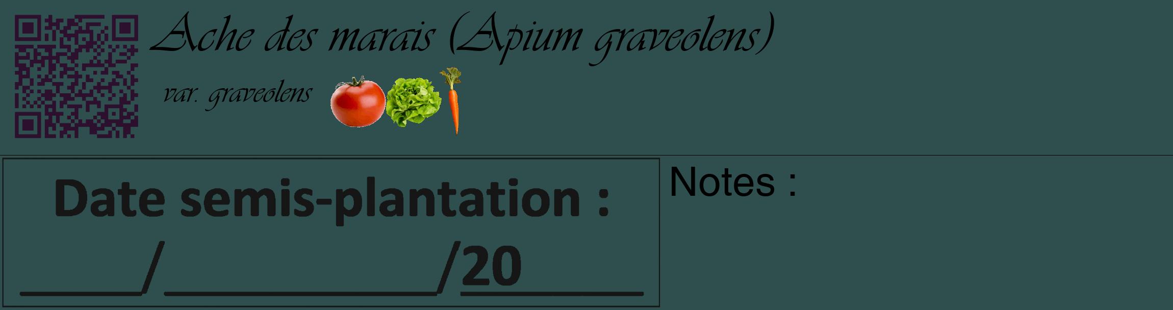 Étiquette de : Apium graveolens var. graveolens - format c - style noire58basique_basique_basiqueviv avec qrcode et comestibilité simplifiée