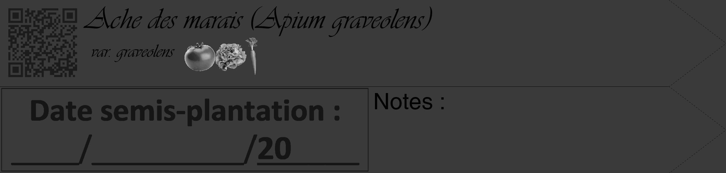 Étiquette de : Apium graveolens var. graveolens - format c - style noire8_simple_simpleviv avec qrcode et comestibilité simplifiée