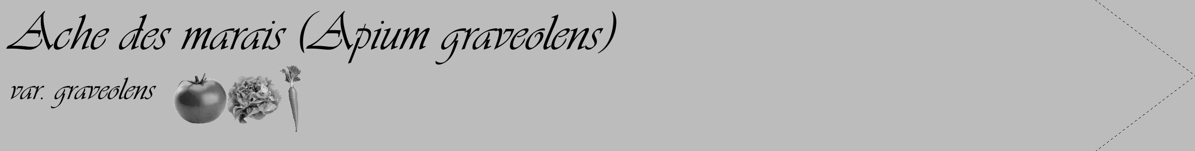 Étiquette de : Apium graveolens var. graveolens - format c - style noire1_simple_simpleviv avec comestibilité simplifiée