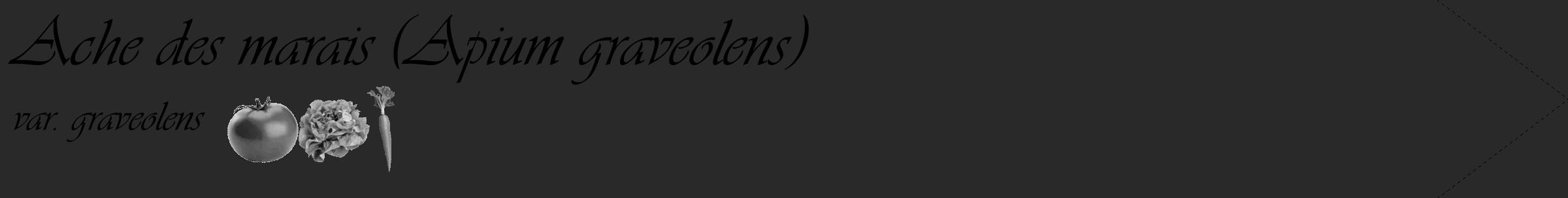 Étiquette de : Apium graveolens var. graveolens - format c - style noire34_simple_simpleviv avec comestibilité simplifiée