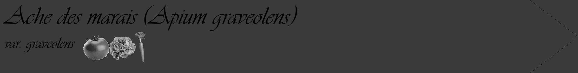 Étiquette de : Apium graveolens var. graveolens - format c - style noire8_simple_simpleviv avec comestibilité simplifiée