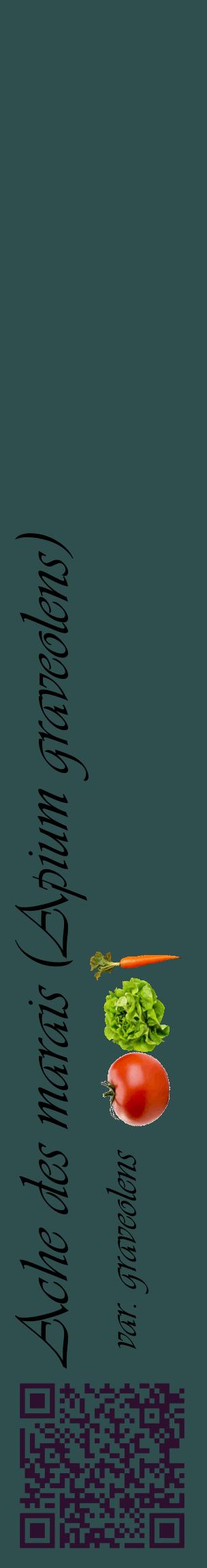 Étiquette de : Apium graveolens var. graveolens - format c - style noire58basique_basique_basiqueviv avec qrcode et comestibilité simplifiée - position verticale