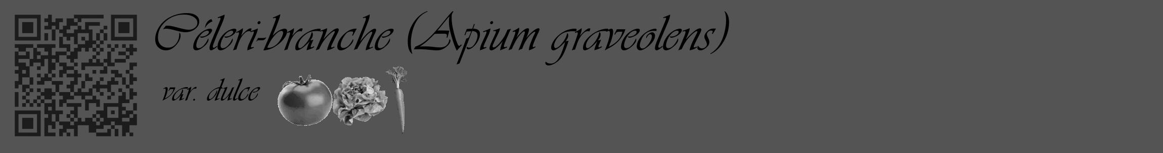 Étiquette de : Apium graveolens var. dulce - format c - style noire36_basique_basiqueviv avec qrcode et comestibilité simplifiée