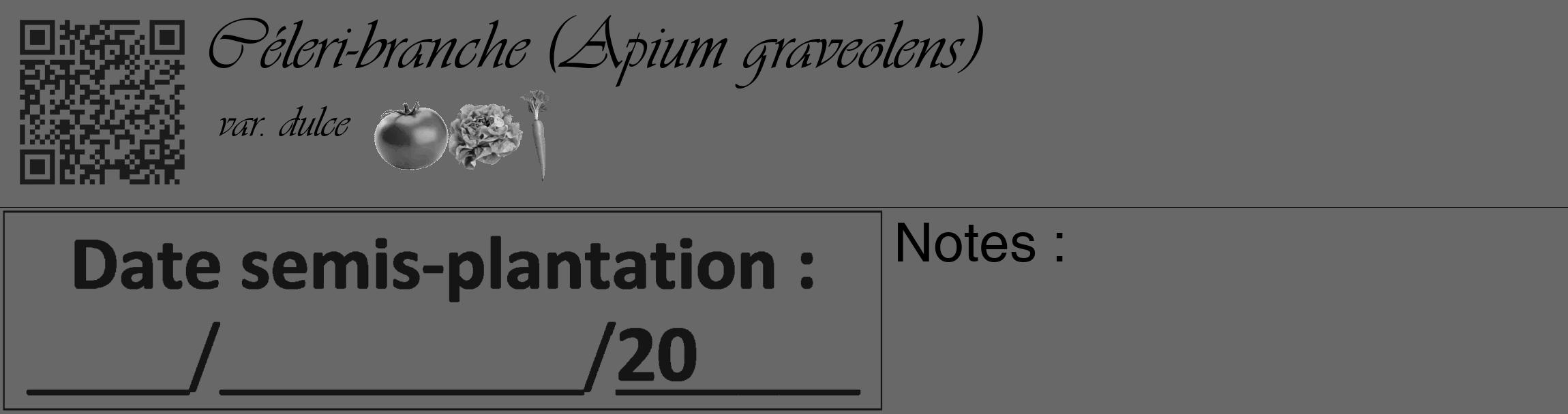 Étiquette de : Apium graveolens var. dulce - format c - style noire6_basique_basiqueviv avec qrcode et comestibilité simplifiée