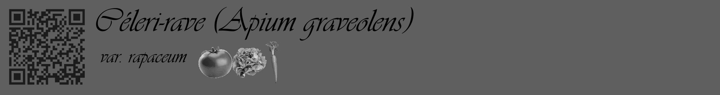 Étiquette de : Apium graveolens var. rapaceum - format c - style noire10_basique_basiqueviv avec qrcode et comestibilité simplifiée
