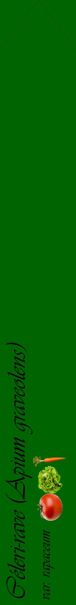 Étiquette de : Apium graveolens var. rapaceum - format c - style noire8_simpleviv avec comestibilité simplifiée