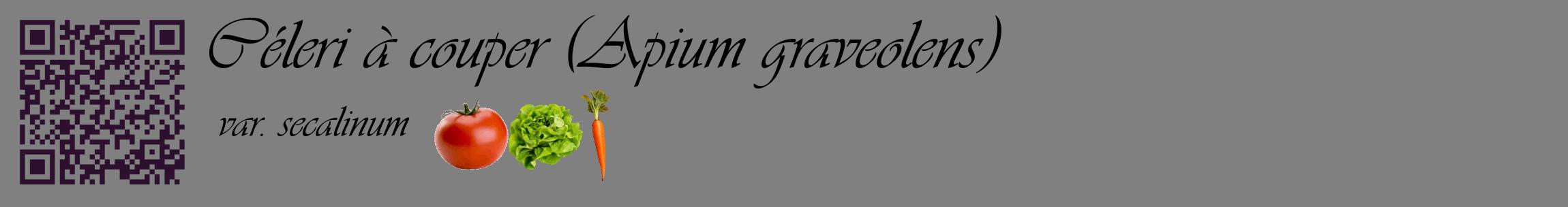Étiquette de : Apium graveolens var. secalinum - format c - style noire57basique_basique_basiqueviv avec qrcode et comestibilité simplifiée