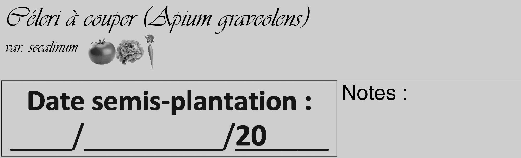 Étiquette de : Apium graveolens var. secalinum - format c - style noire17_basique_basiqueviv avec comestibilité simplifiée