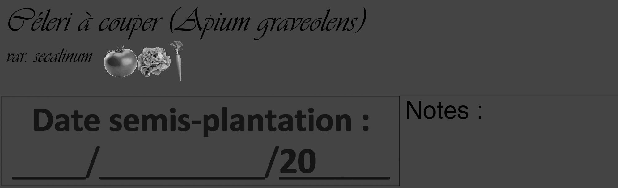 Étiquette de : Apium graveolens var. secalinum - format c - style noire48basique_basique_basiqueviv avec comestibilité simplifiée