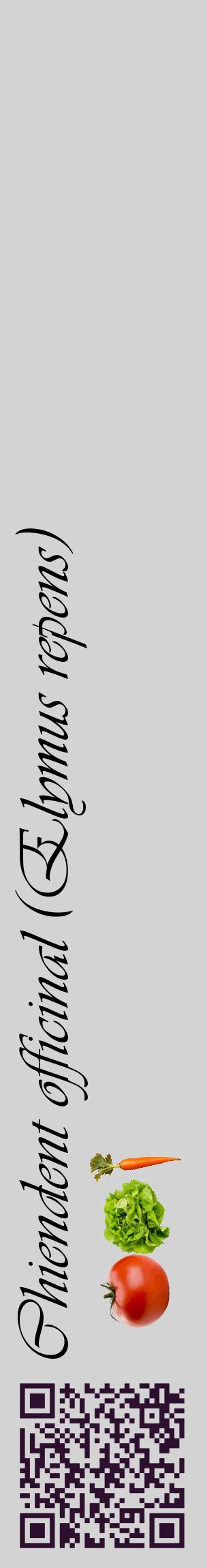 Étiquette de : Elymus repens - format c - style noire56_basiqueviv avec qrcode et comestibilité simplifiée