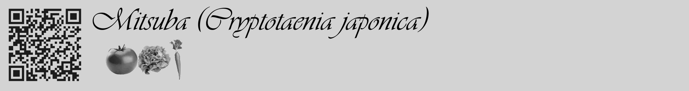 Étiquette de : Cryptotaenia japonica - format c - style noire56_basique_basiqueviv avec qrcode et comestibilité simplifiée