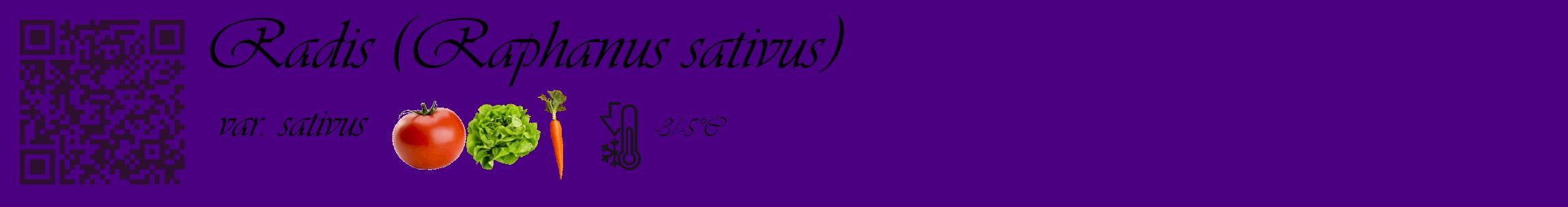 Étiquette de : Raphanus sativus var. sativus - format c - style noire47_basique_basiqueviv avec qrcode et comestibilité simplifiée