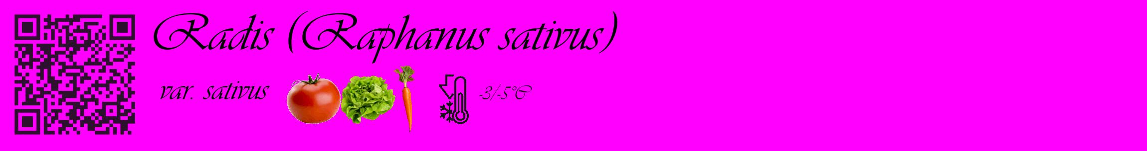 Étiquette de : Raphanus sativus var. sativus - format c - style noire51_basique_basiqueviv avec qrcode et comestibilité simplifiée