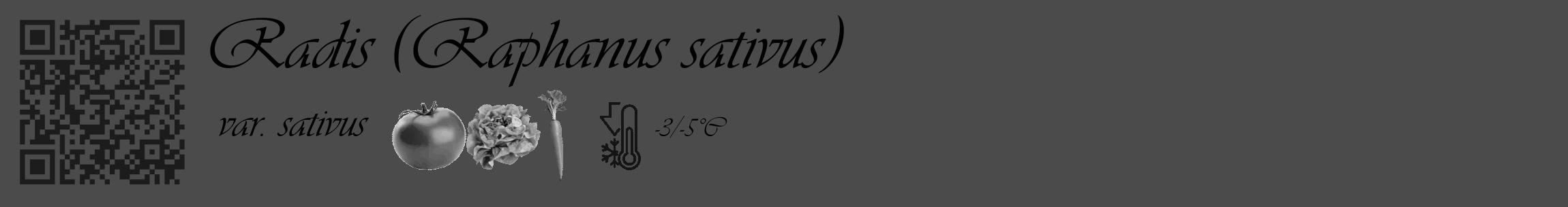 Étiquette de : Raphanus sativus var. sativus - format c - style noire9_basique_basiqueviv avec qrcode et comestibilité simplifiée