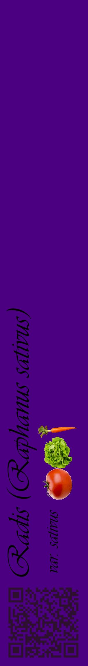 Étiquette de : Raphanus sativus var. sativus - format c - style noire47_basiqueviv avec qrcode et comestibilité simplifiée