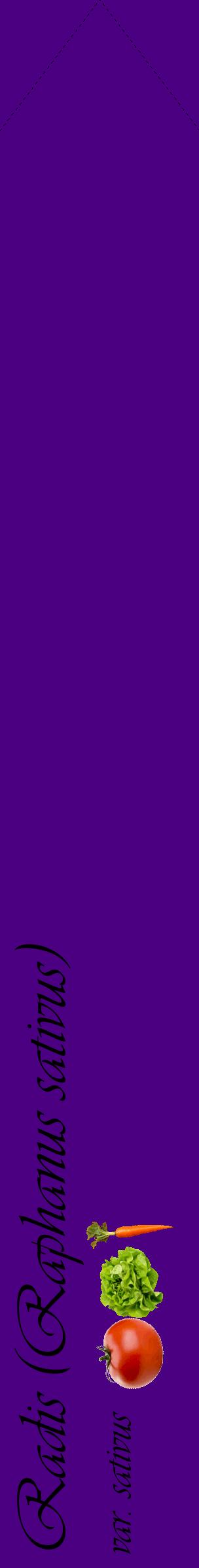 Étiquette de : Raphanus sativus var. sativus - format c - style noire47_simpleviv avec comestibilité simplifiée