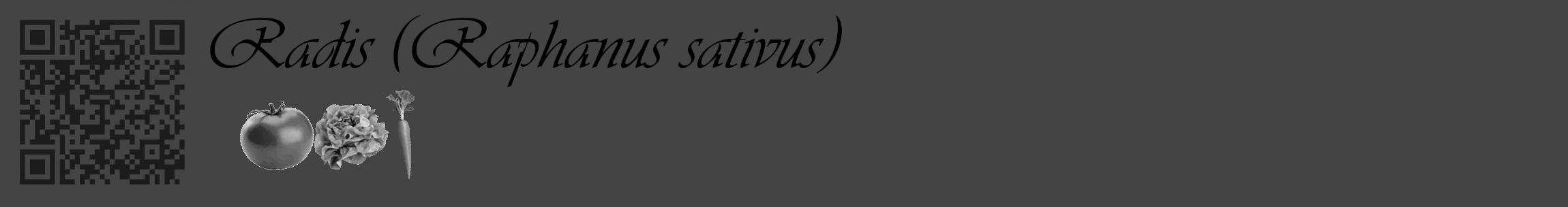 Étiquette de : Raphanus sativus - format c - style noire48basique_basique_basiqueviv avec qrcode et comestibilité simplifiée