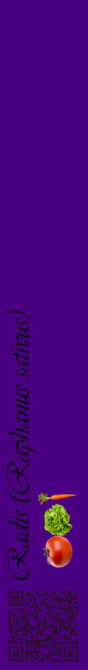 Étiquette de : Raphanus sativus - format c - style noire47_basiqueviv avec qrcode et comestibilité simplifiée