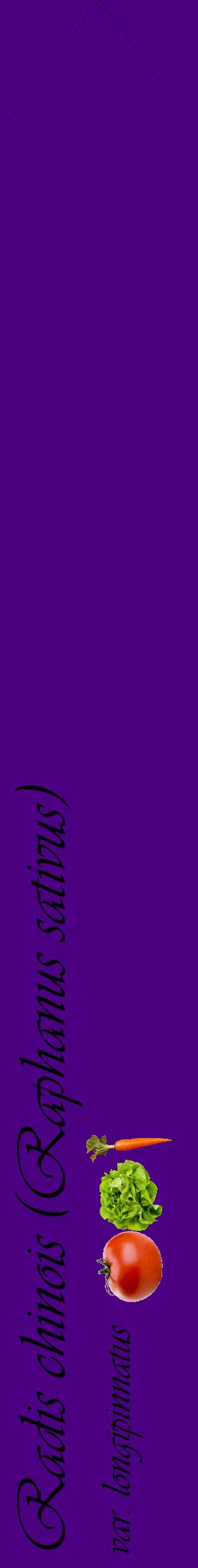 Étiquette de : Raphanus sativus var. longipinnatus - format c - style noire47_simpleviv avec comestibilité simplifiée