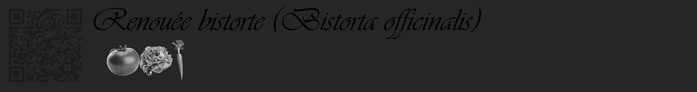 Étiquette de : Bistorta officinalis - format c - style noire29_basique_basiqueviv avec qrcode et comestibilité simplifiée