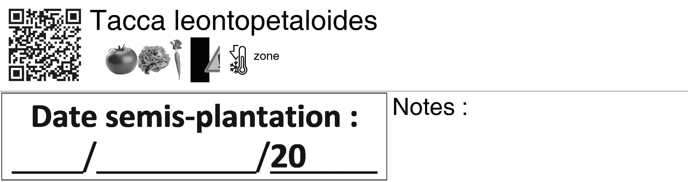 Étiquette de : Tacca leontopetaloides - format c - style noire60_basiquegrrvhel avec qrcode et comestibilité simplifiée