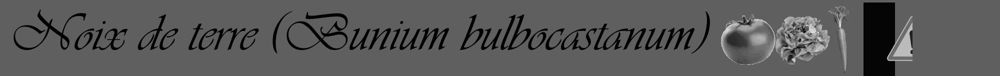 Étiquette de : Bunium bulbocastanum - format a - style noire10viv avec comestibilité simplifiée